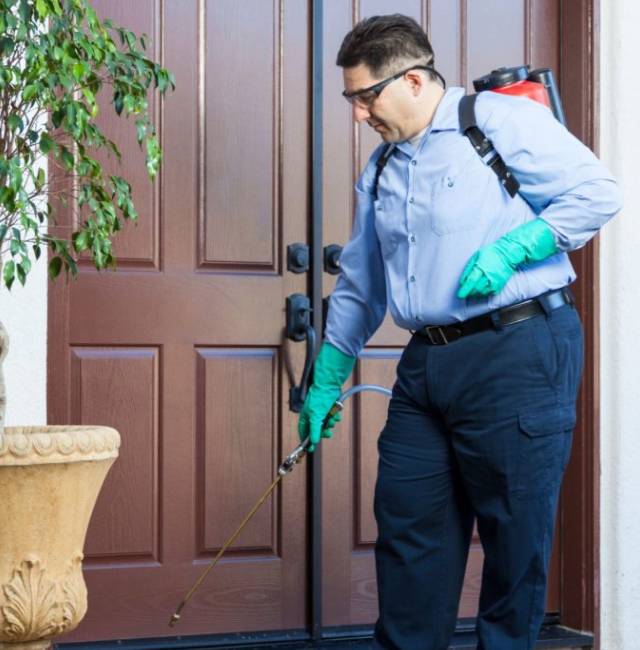 Pest-Control-picture Pest-Control-picture