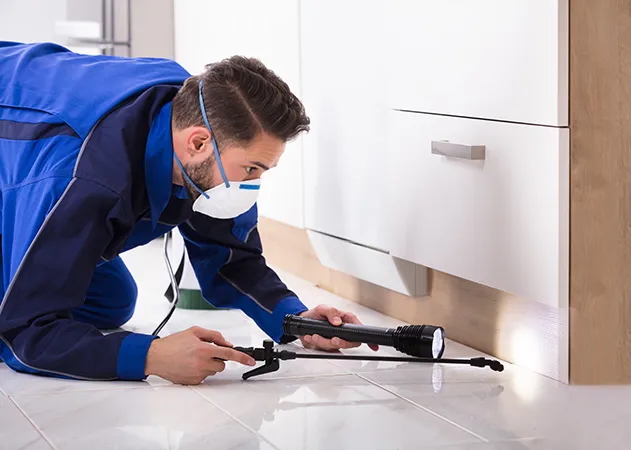 industrial-pest-control-photo industrial-pest-control-photo