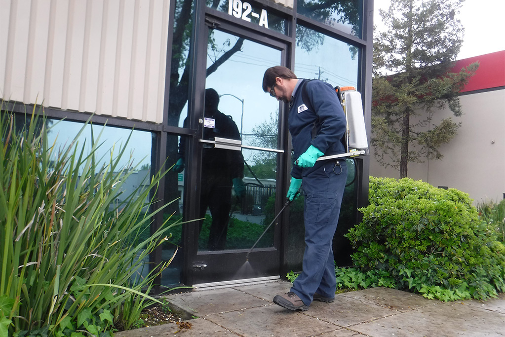 pest-control - outdoor picture pest-control - outdoor picture
