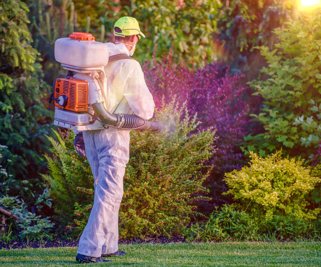 Riverside County - Image 2