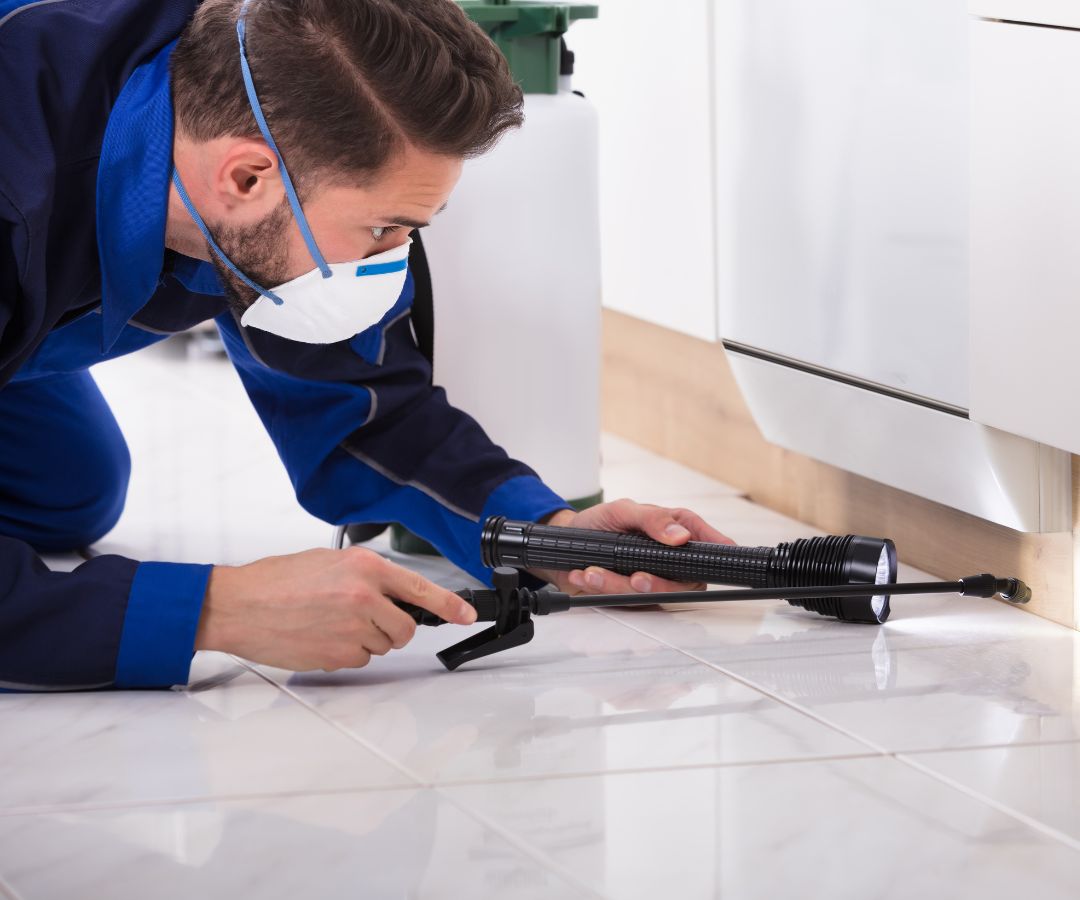 Riverside County - Image 4