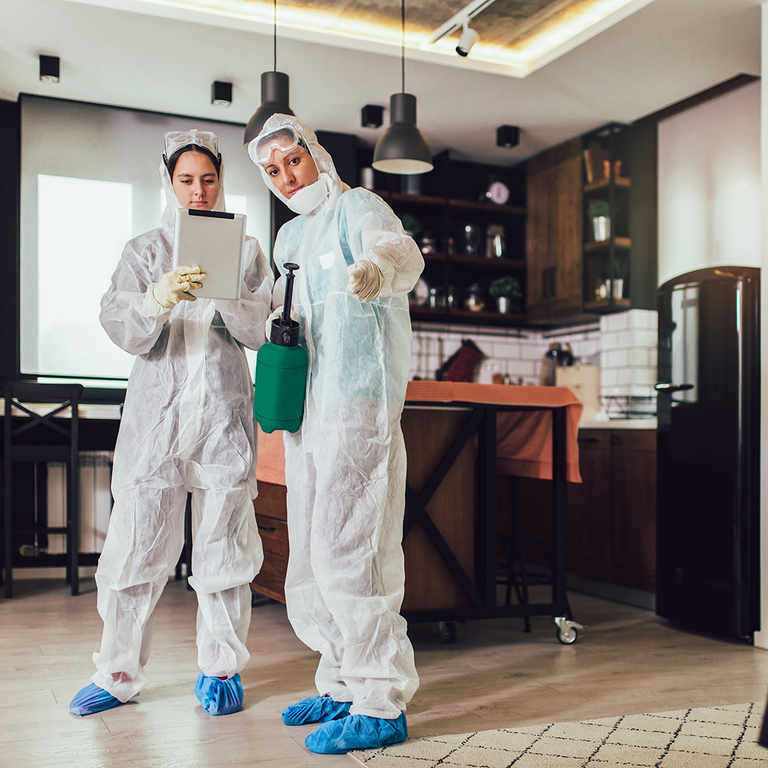 Specialists in protective suits do disinfection or pest control Specialists in protective suits do disinfection or pest control in the apartment.