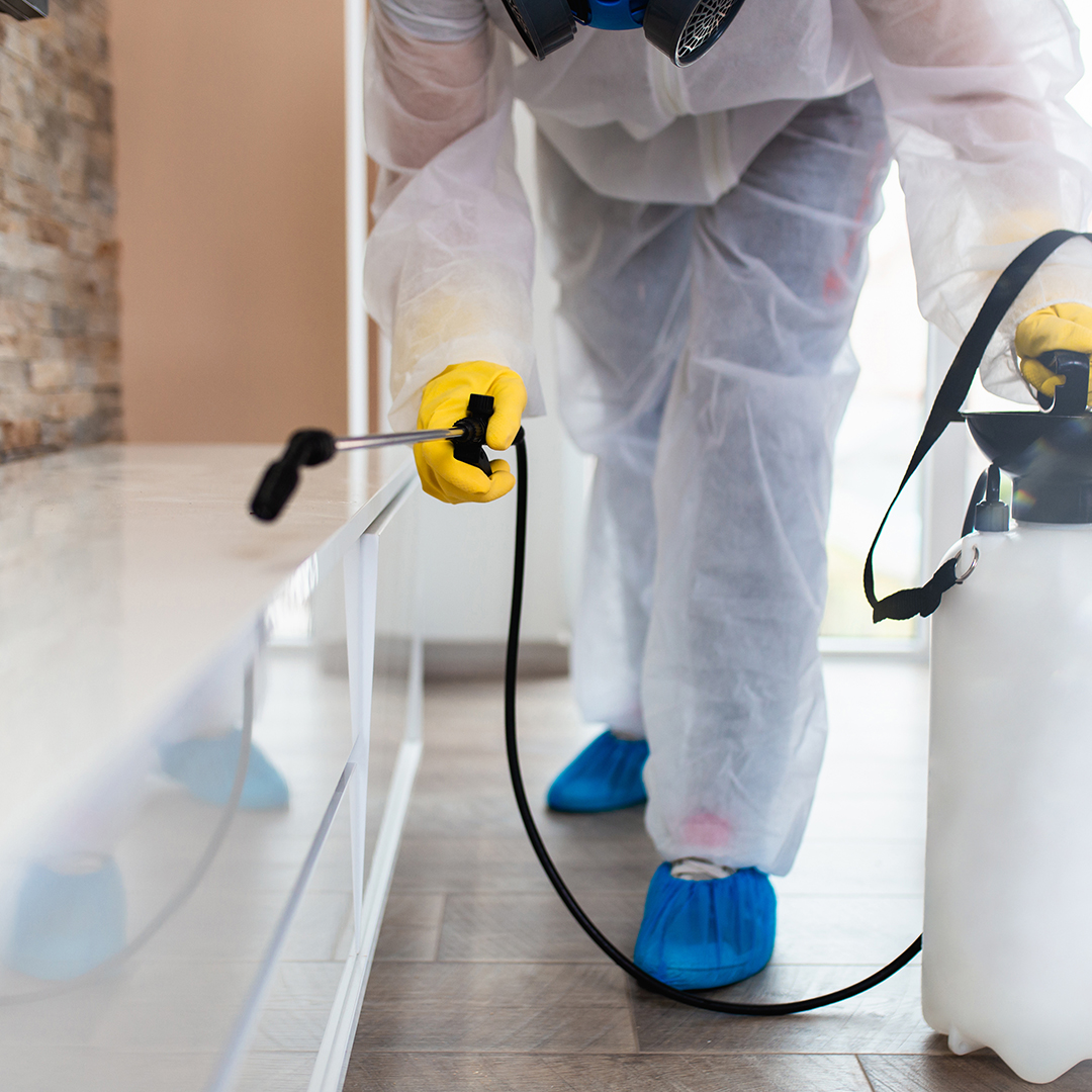 Exterminator in work wear spraying pesticide with sprayer.