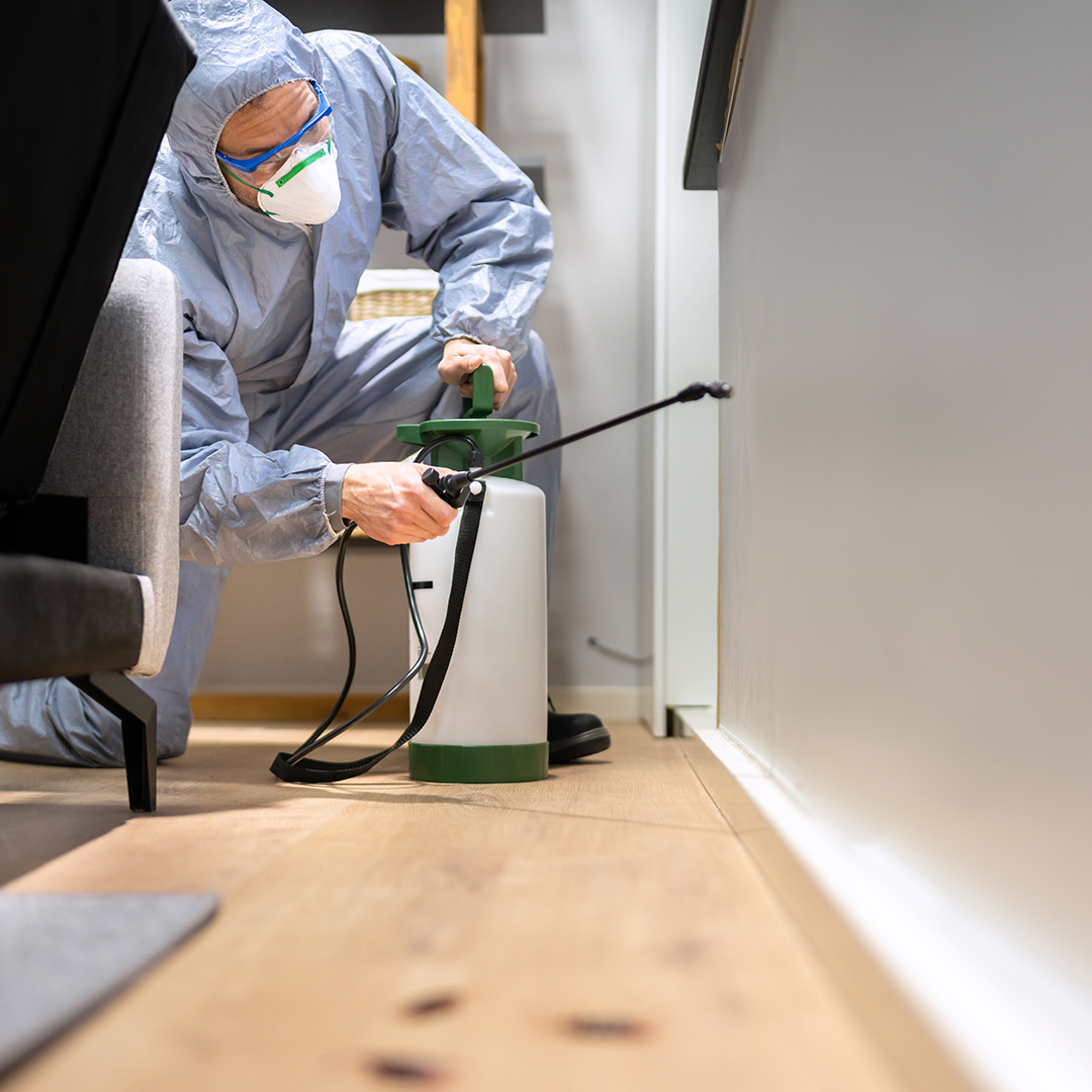 Pest Control Exterminator Man Spraying Termite Pesticide At Home