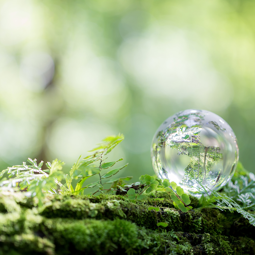 Globe planet glass In green forest with bokeh nature lights. world environment day. concept for environment conservation, protect ecology earth and environmental eco-friendly life with copy space
