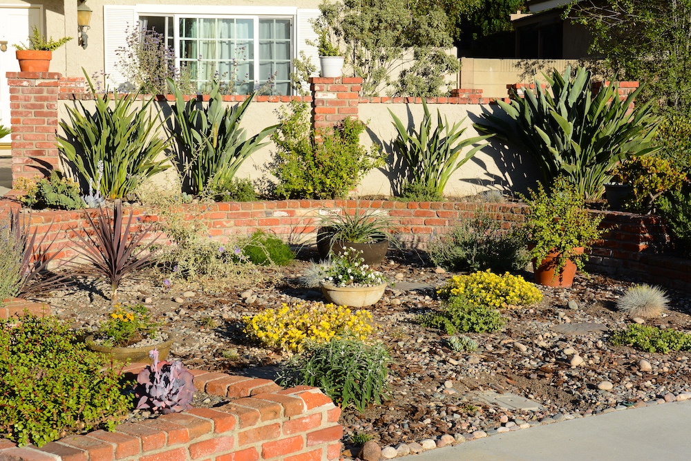 Residential Gopher Control in San Diego